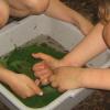 Naturfreundehaus Hannover - Kinder und Kecher Naturfreundehaus Hannover - Kinder und Kescher